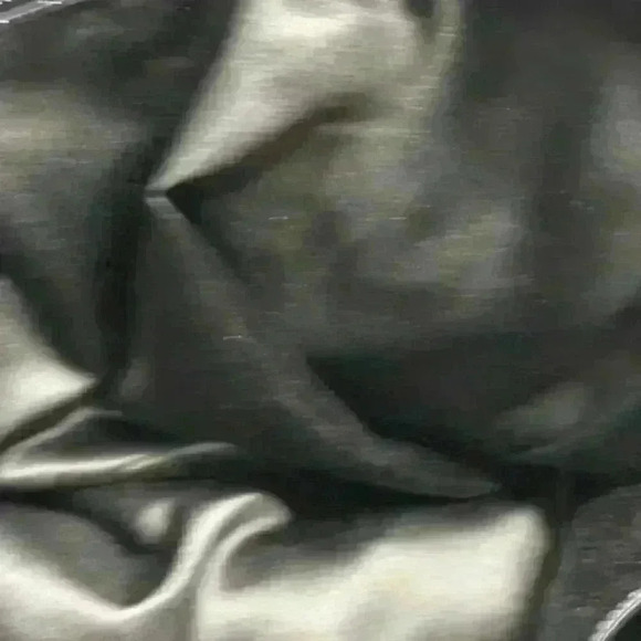 COACH F20026 Black Poppy Daisy Signature Tote - Picture 4 of 14